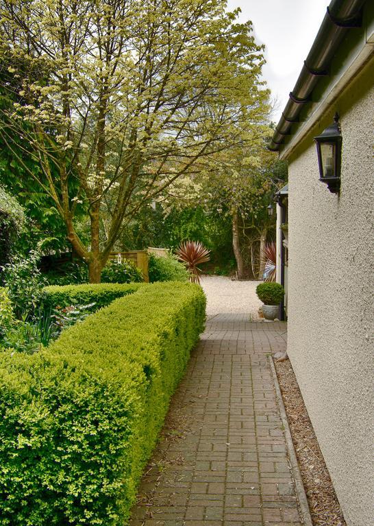 Tumbling Weir Hotel Ottery St Mary 외부 사진