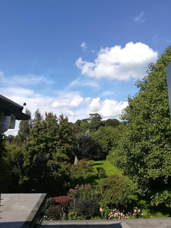 Tumbling Weir Hotel Ottery St Mary 외부 사진