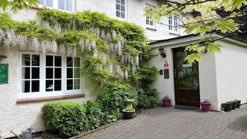 Tumbling Weir Hotel Ottery St Mary 외부 사진